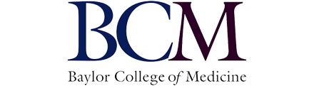 logo-04