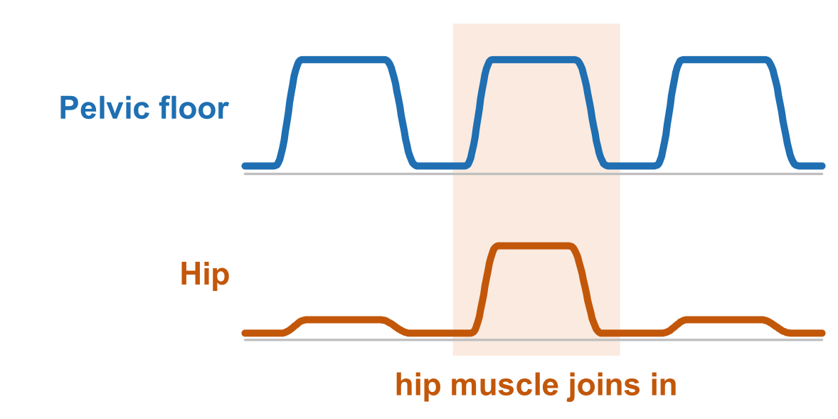 Pelvic floor signal and hip muscle signal Pelvic floor signal and hip muscle signal