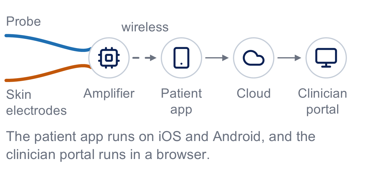 Signal path from the probe and skin sensors to the clinician portal